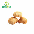 Hericium Erinaceus Extract 50%Polysaccharide